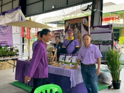 LINE_ALBUM_20269 อนุรักษ์พันธุกรรมพืช_260220_169.jpg - เทศบาลตำบลสันป่าตองได้ดำเนินการจัด โครงการอนุรักษ์พันธุกรรมพืชอันเนื่องมาจากพระราชดำริ สมเด็จพระกนิษฐาธิราชเจ้า กรมสมเด็จพระเทพรัตนราชสุดาฯ สยามบรมราชกุมารี | https://www.sanpatong.go.th